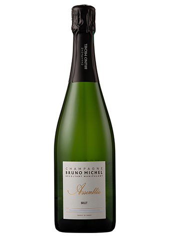 Bruno Michel Assemblee Brut